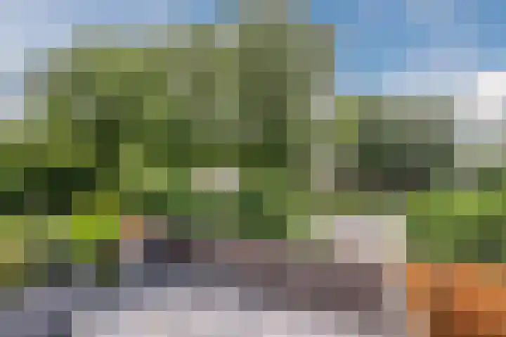 Mouton 4 Mijdrecht thumbnail 13