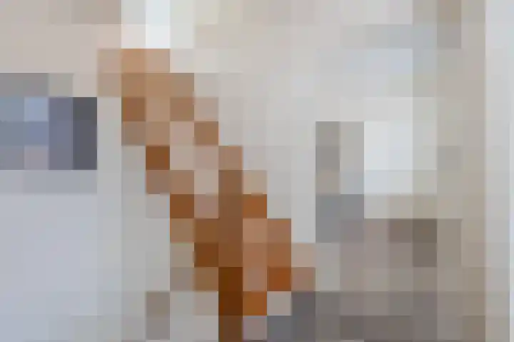 Mouton 4 Mijdrecht thumbnail 20