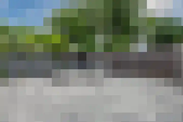 Mouton 4 Mijdrecht thumbnail 38