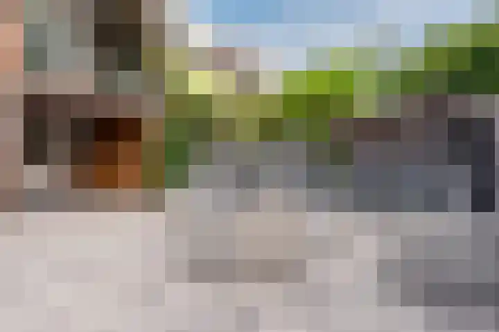 Mouton 4 Mijdrecht thumbnail 39