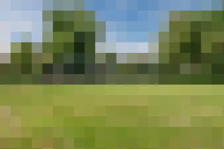 Mouton 4 Mijdrecht thumbnail 50