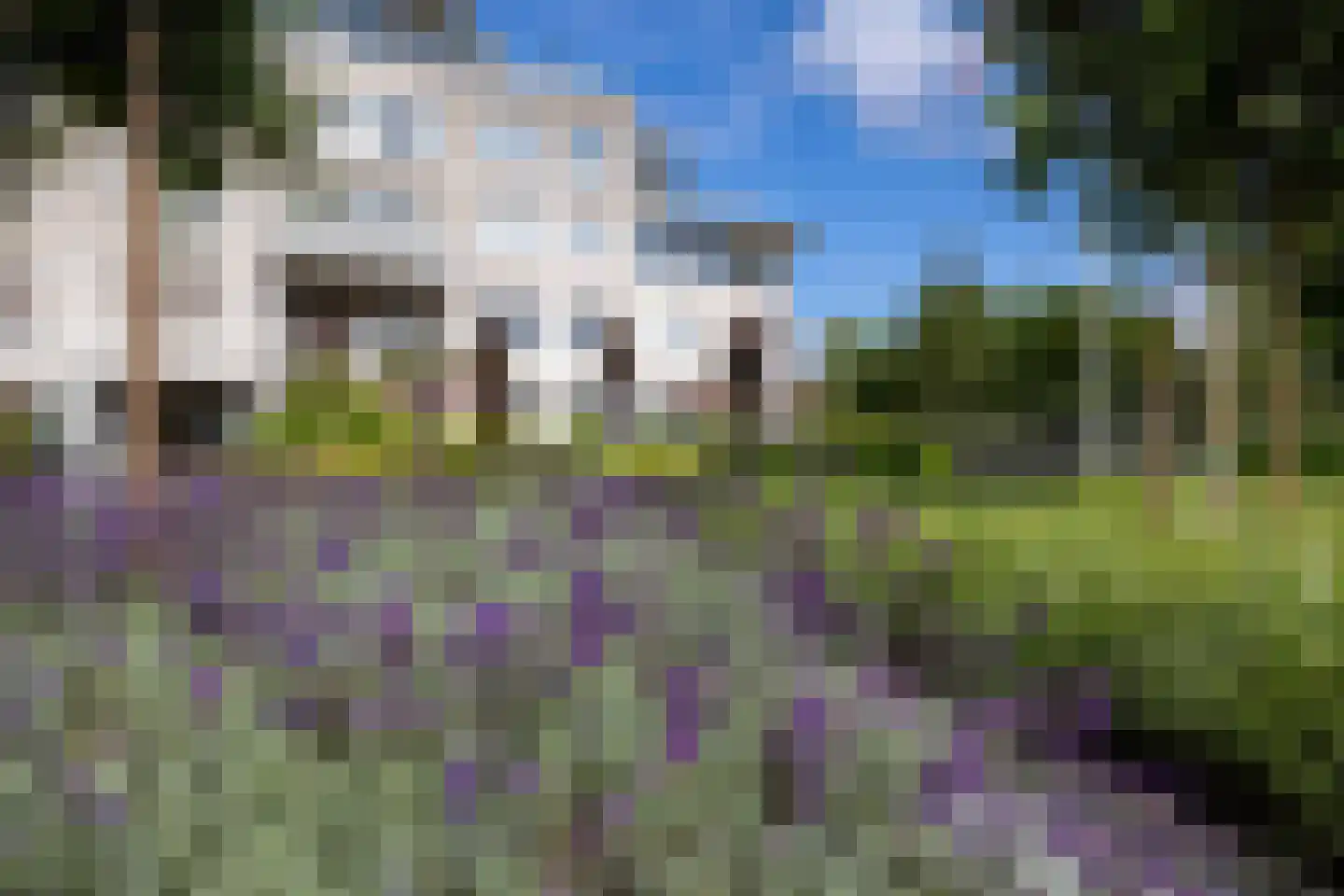 Moutstraat 107 Gennep thumbnail 38
