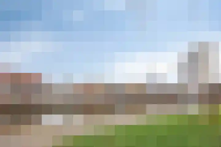 Moutwijnpad 8 Schiedam thumbnail 15