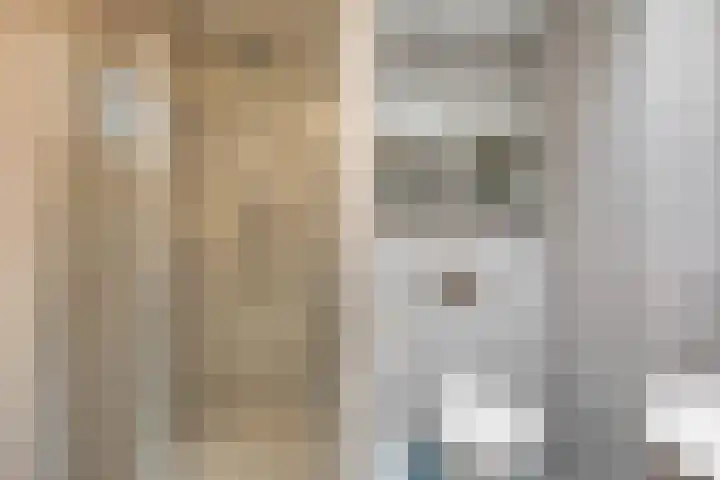 Moutwijnpad 8 Schiedam thumbnail 22