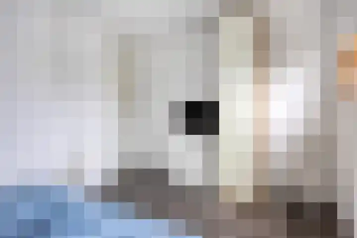 Moutwijnpad 8 Schiedam thumbnail 27