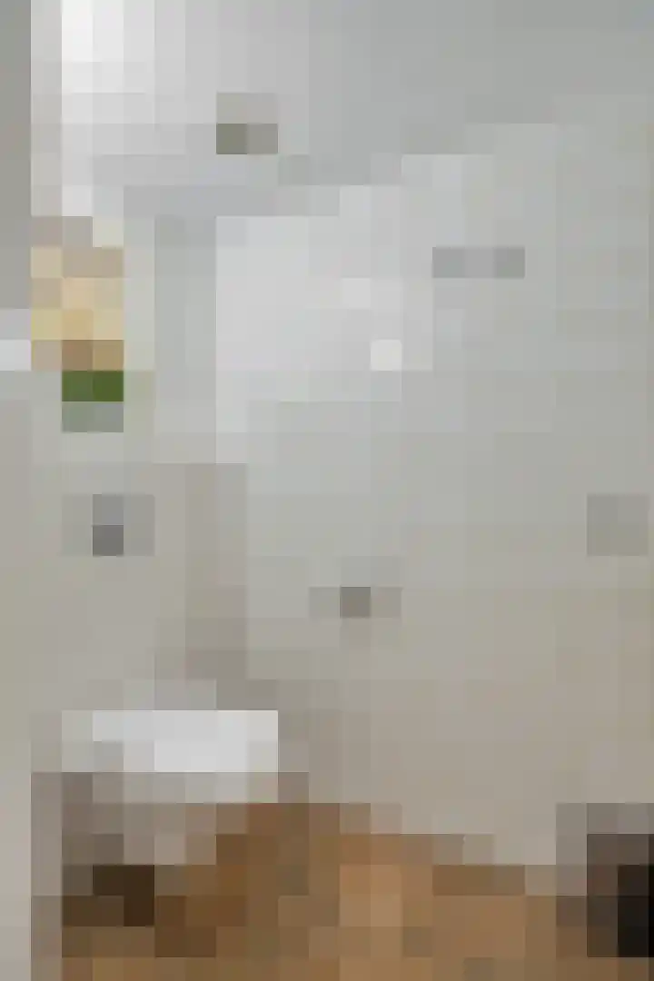 Moutwijnpad 8 Schiedam thumbnail 29