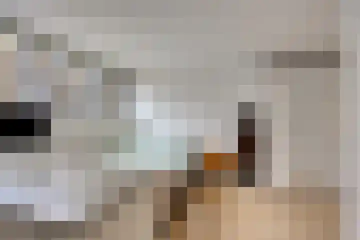 Moutwijnpad 8 Schiedam thumbnail 32