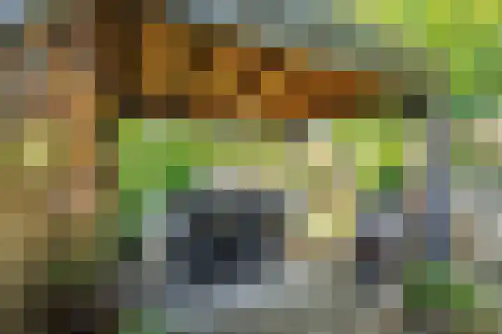Moutzhofweg 139 Venlo thumbnail 32