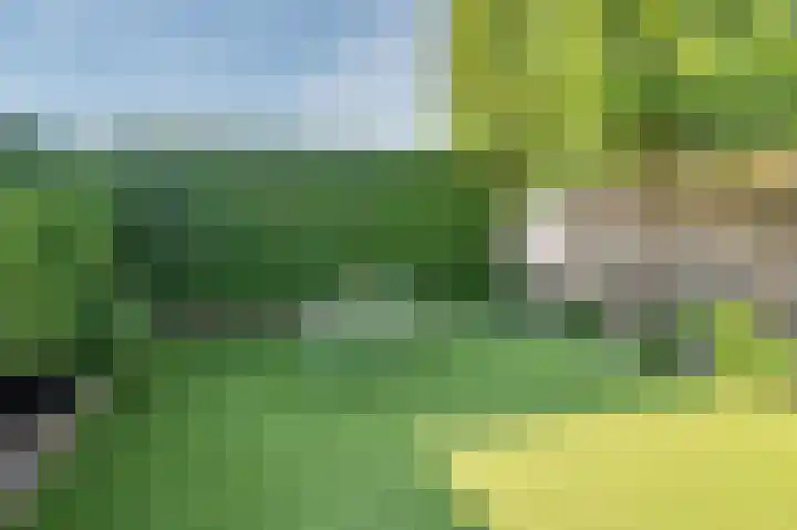 Moutzhofweg 139 Venlo thumbnail 33
