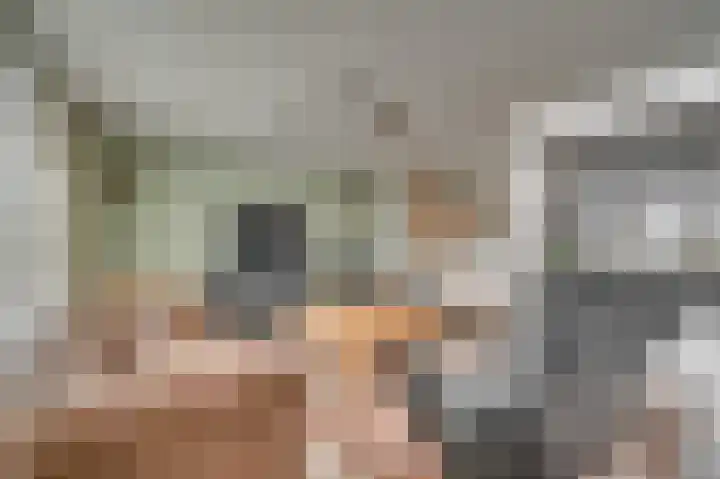 Moutzhofweg 139 Venlo thumbnail 8