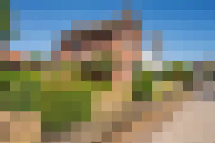 Moutzhofweg 146 Venlo thumbnail 6