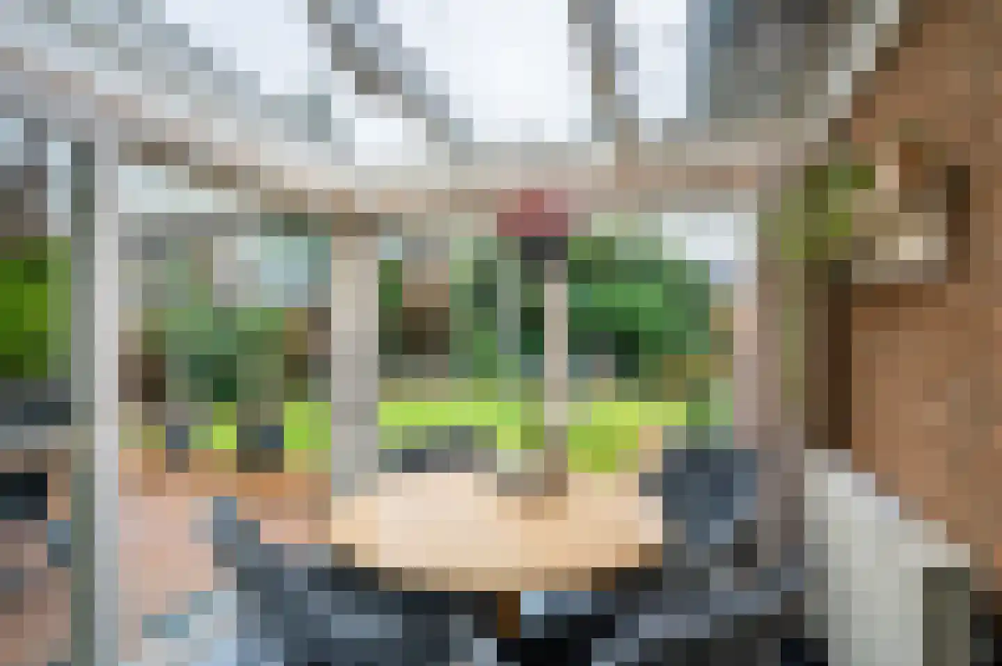 Moutzhofweg 91 Venlo thumbnail 23