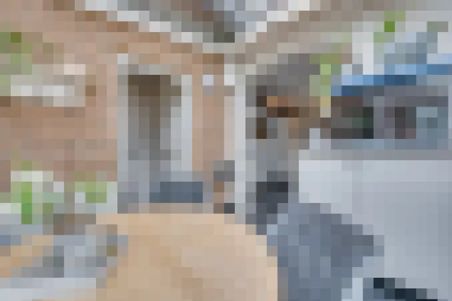 Moutzhofweg 91 Venlo thumbnail 25