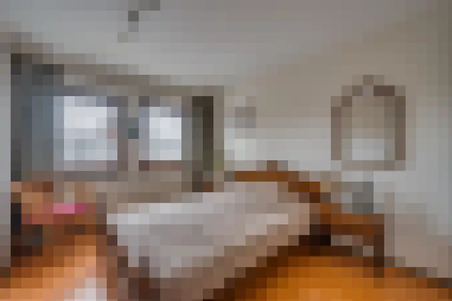 Moutzhofweg 91 Venlo thumbnail 32