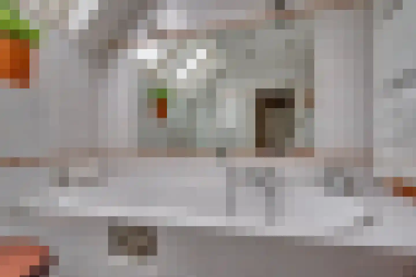 Moutzhofweg 91 Venlo thumbnail 39