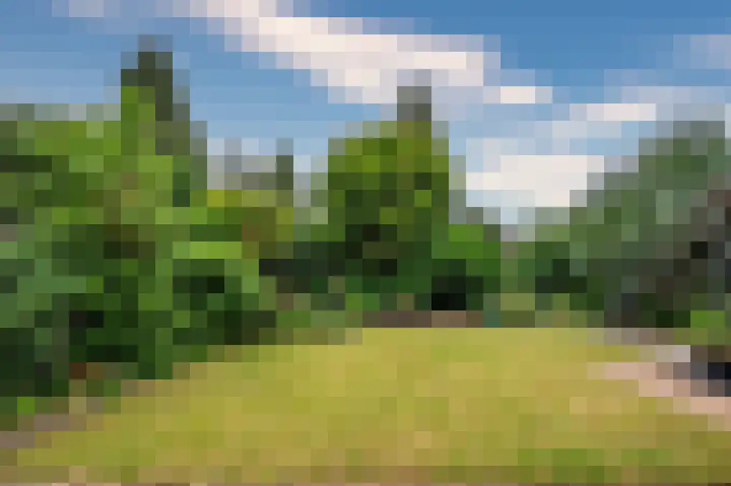 Moutzhofweg 91 Venlo thumbnail 55