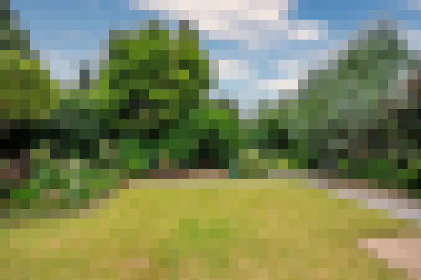 Moutzhofweg 91 Venlo thumbnail 56