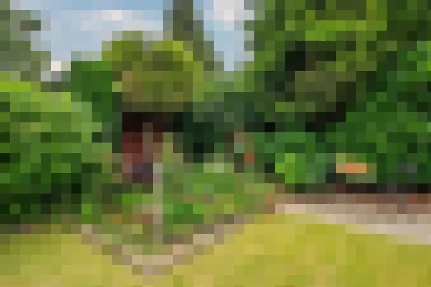 Moutzhofweg 91 Venlo thumbnail 57
