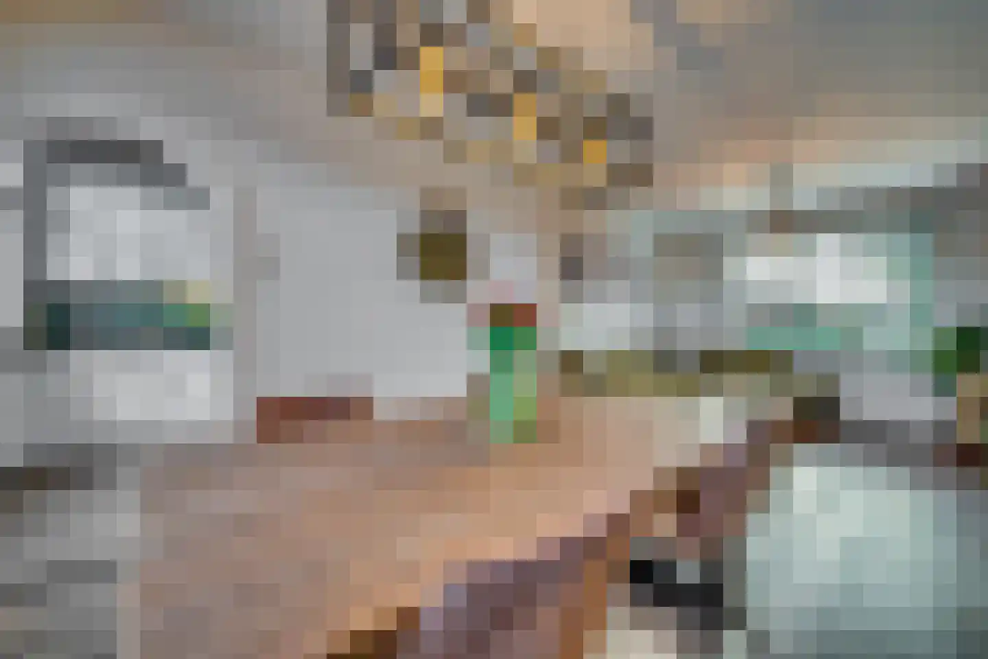 Moutzhofweg 98 Venlo thumbnail 10
