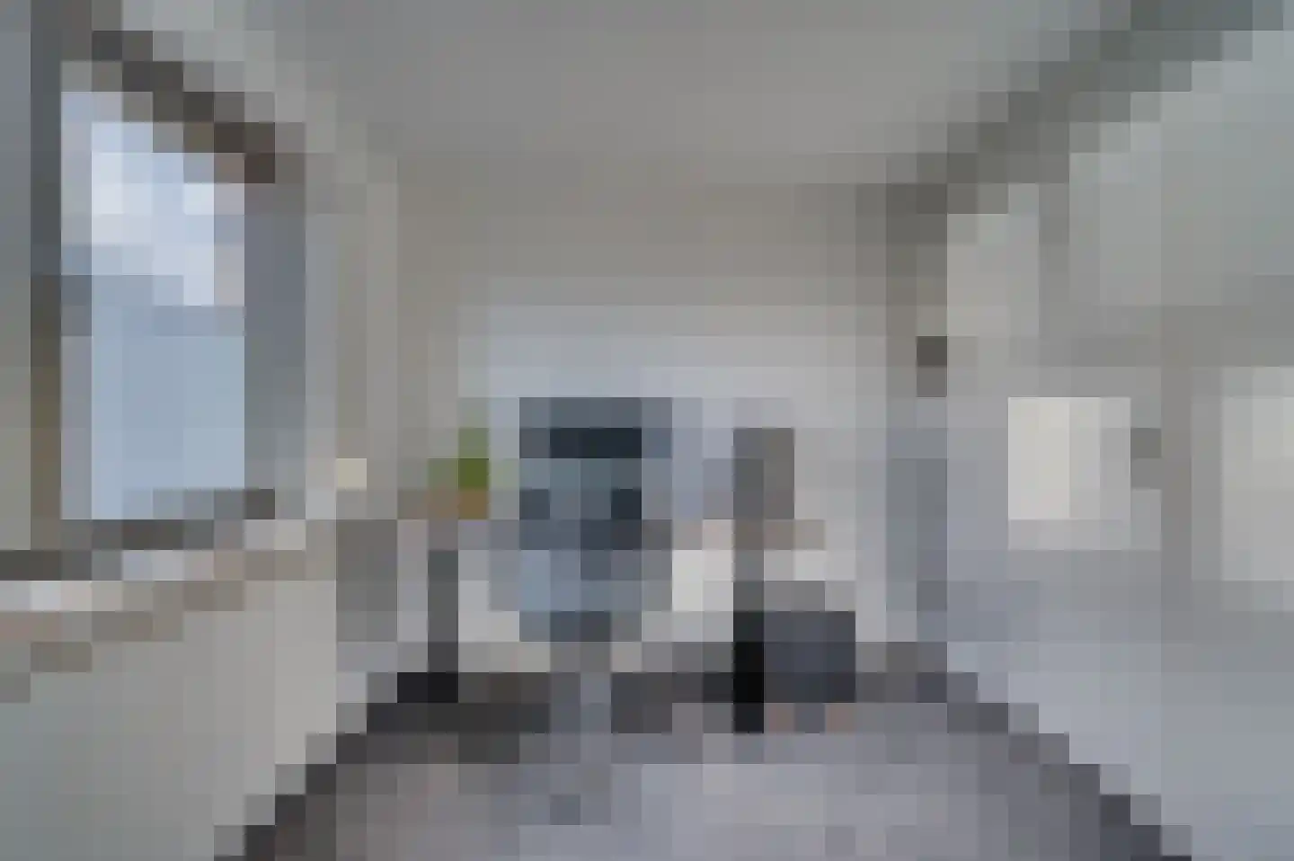 Moutzhofweg 98 Venlo thumbnail 24