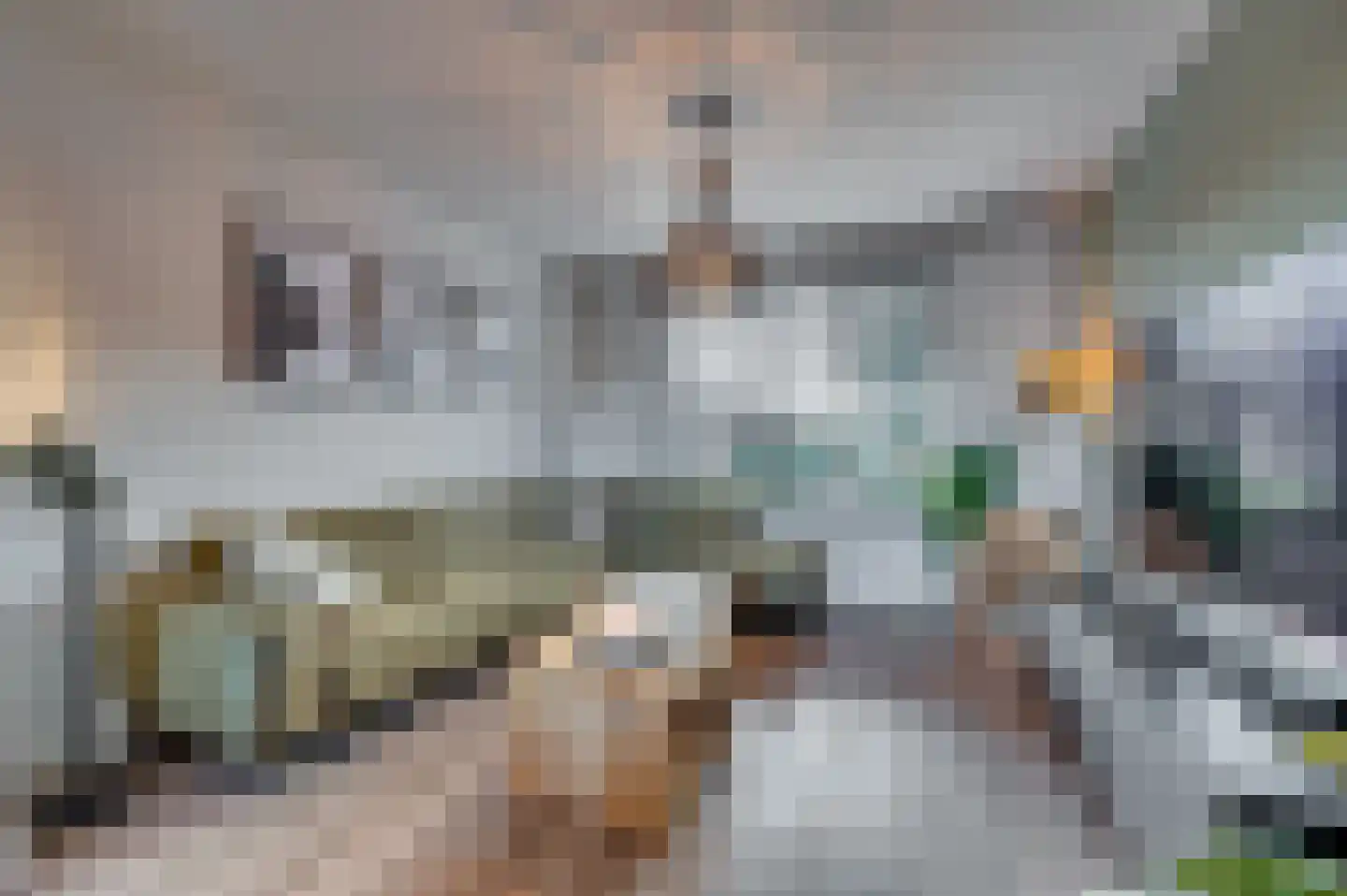 Moutzhofweg 98 Venlo thumbnail 5