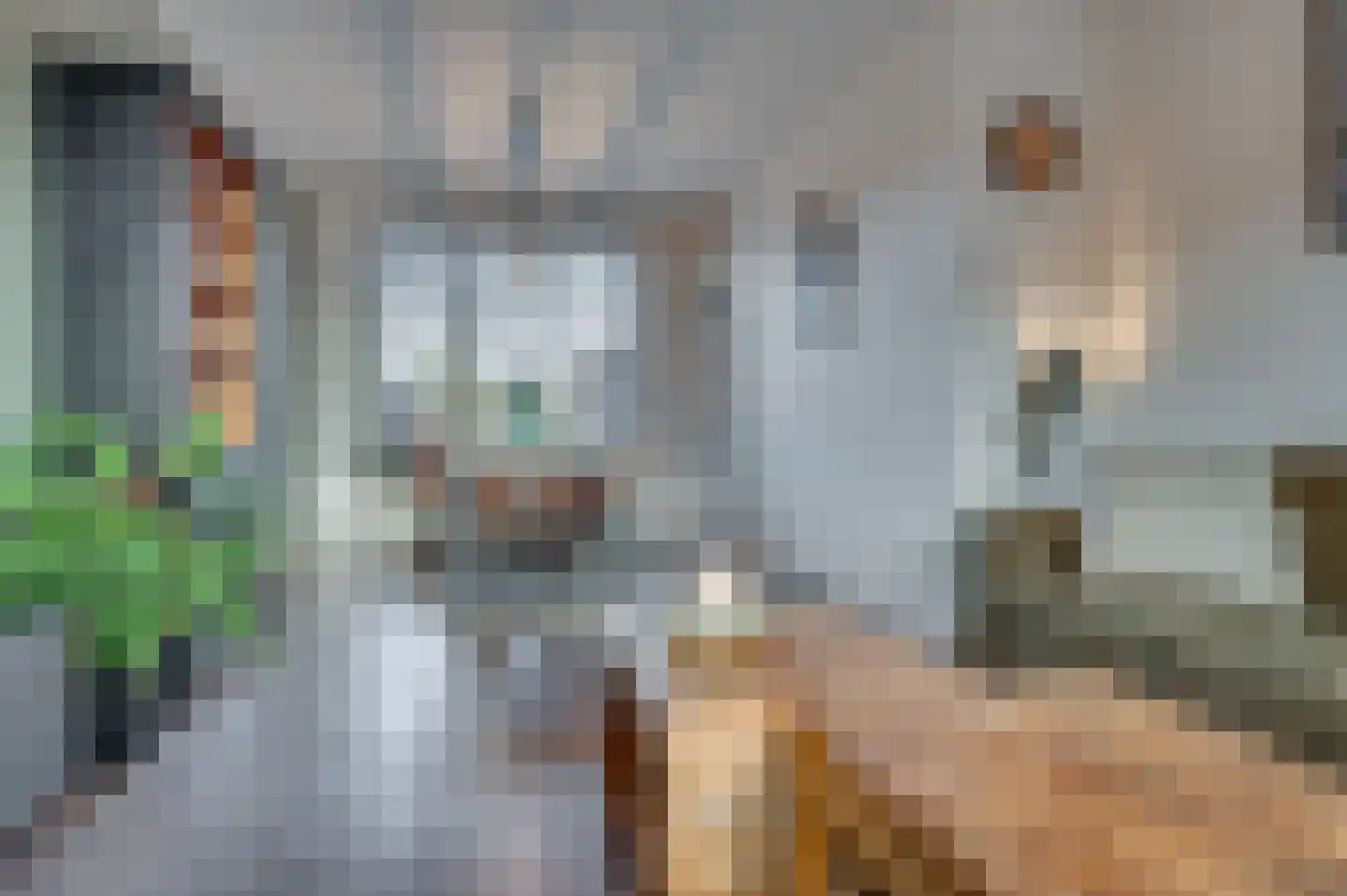 Moutzhofweg 98 Venlo thumbnail 7
