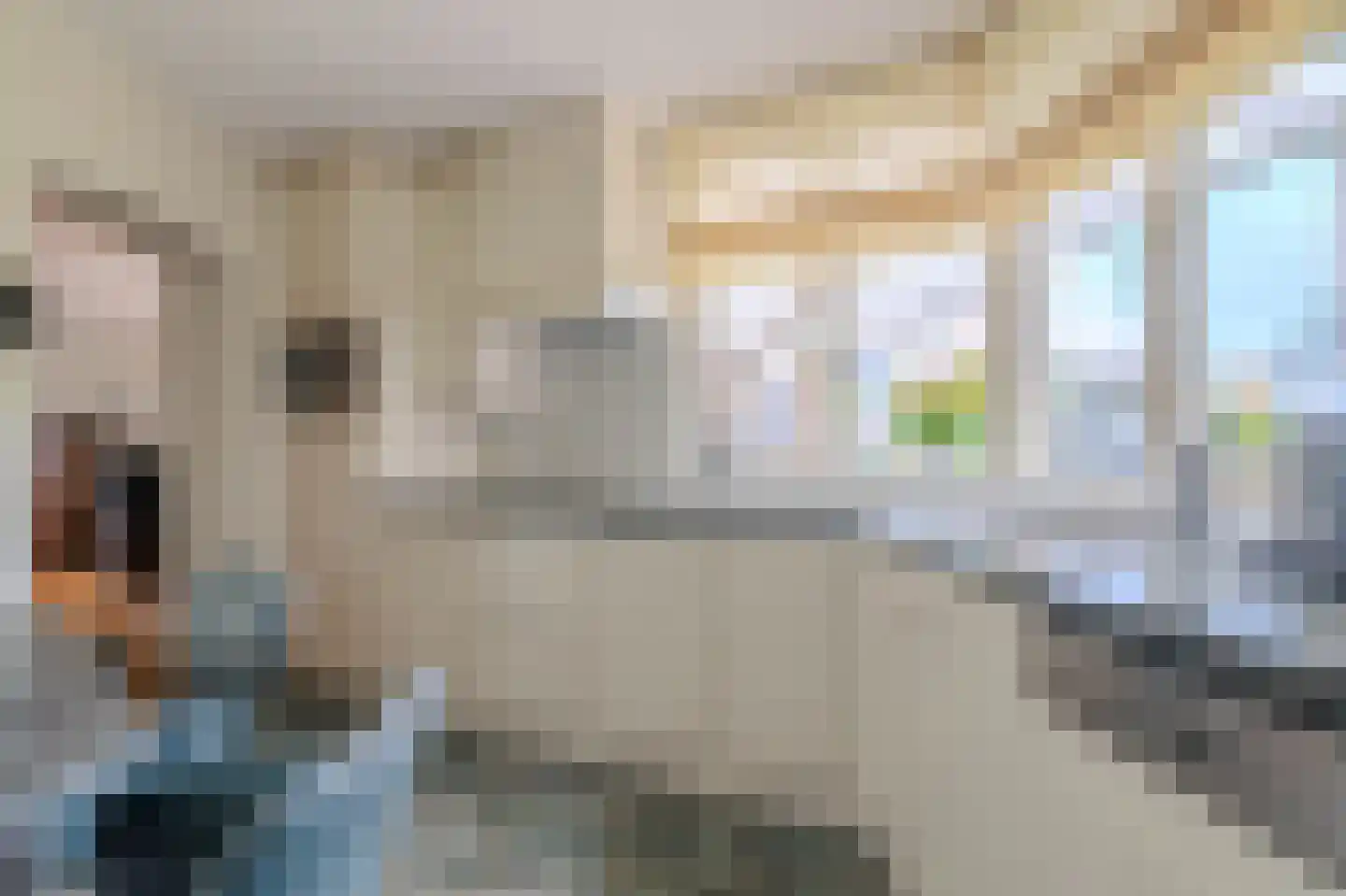 Moutzveld 1 Venlo thumbnail 13