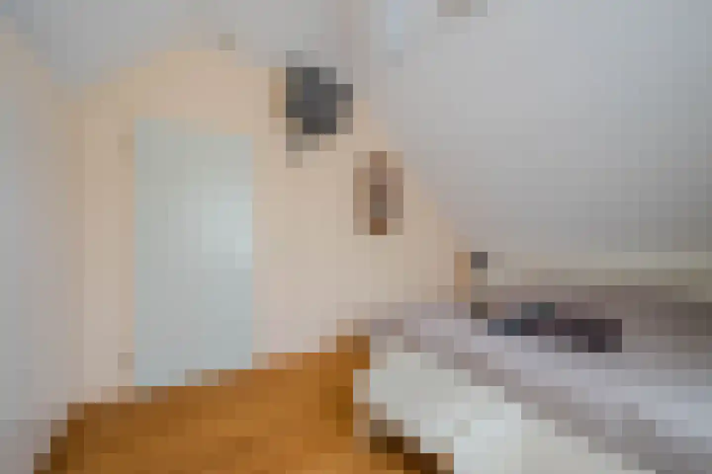 Moutzveld 1 Venlo thumbnail 26