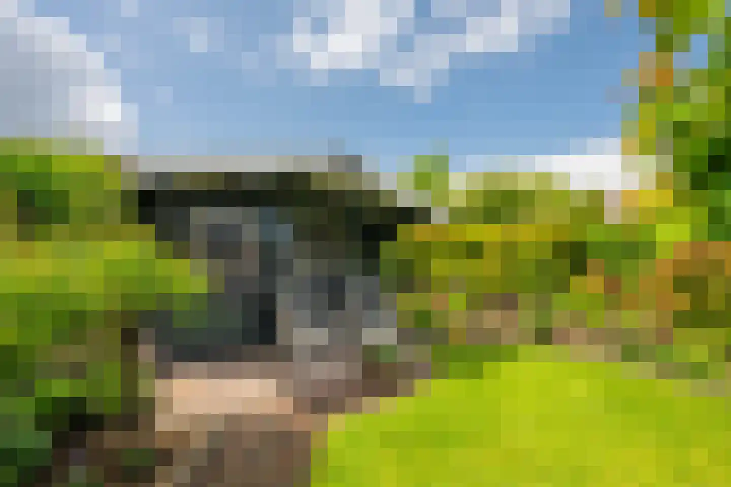 Moutzveld 1 Venlo thumbnail 34