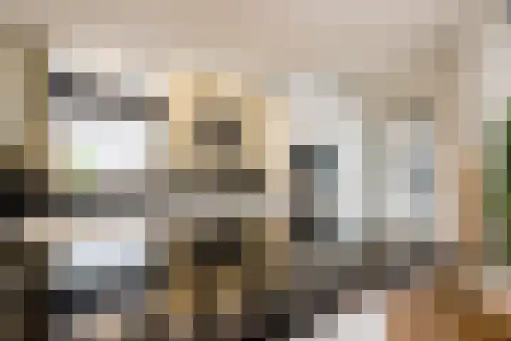 Moutzveld 2 Venlo thumbnail 19