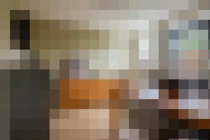 Moutzveld 2 Venlo thumbnail 24