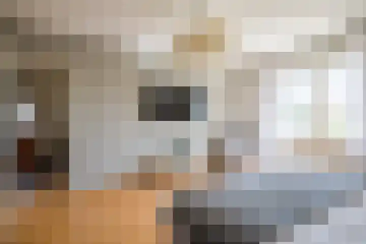Moutzveld 2 Venlo thumbnail 28
