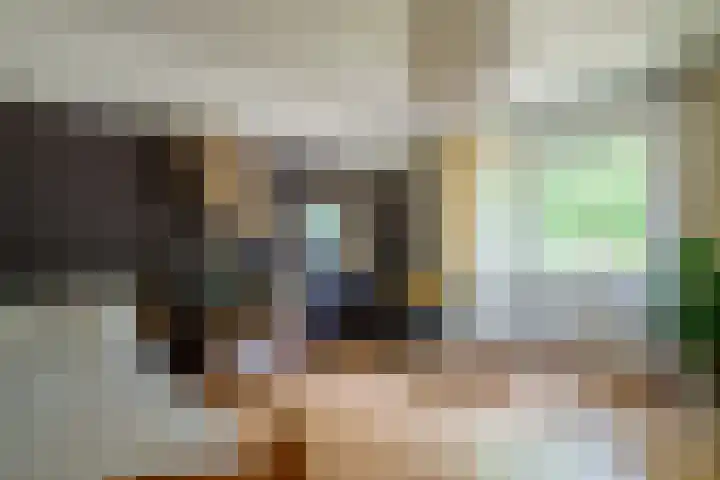 Moutzveld 2 Venlo thumbnail 29