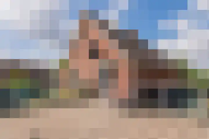 Moutzveld 2 Venlo thumbnail 34