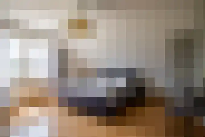 Moutzveld 2 Venlo thumbnail 4