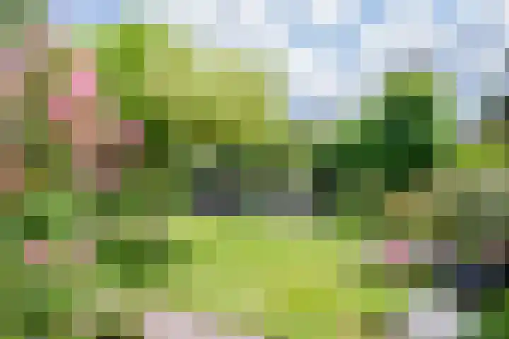 Moutzveld 2 Venlo thumbnail 47