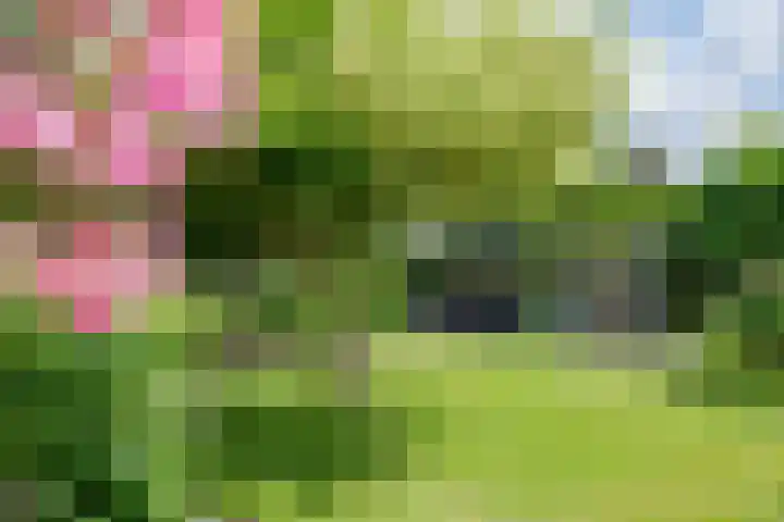 Moutzveld 2 Venlo thumbnail 48