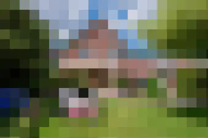 Moutzveld 2 Venlo thumbnail 54
