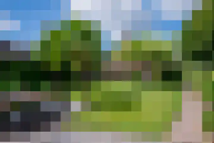 Moutzveld 2 Venlo thumbnail 55