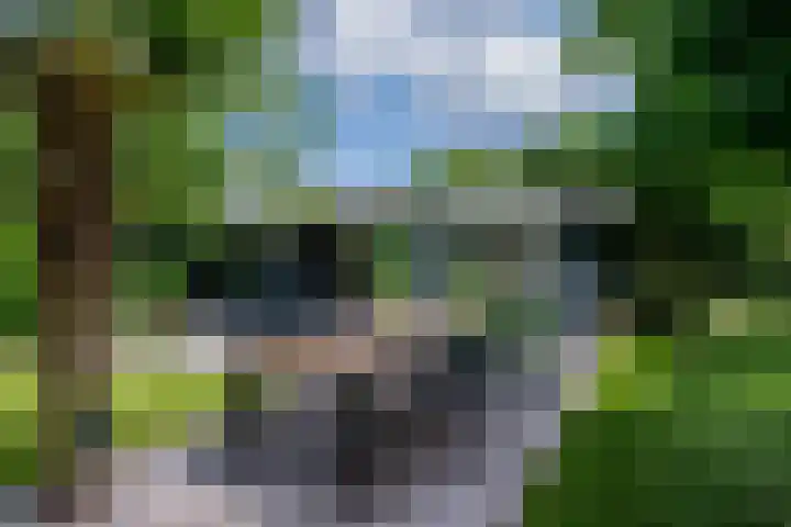 Moutzveld 2 Venlo thumbnail 56