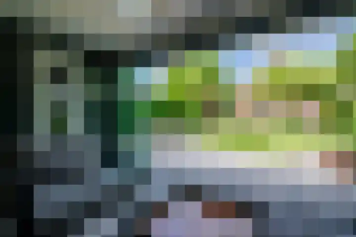 Moutzveld 2 Venlo thumbnail 57