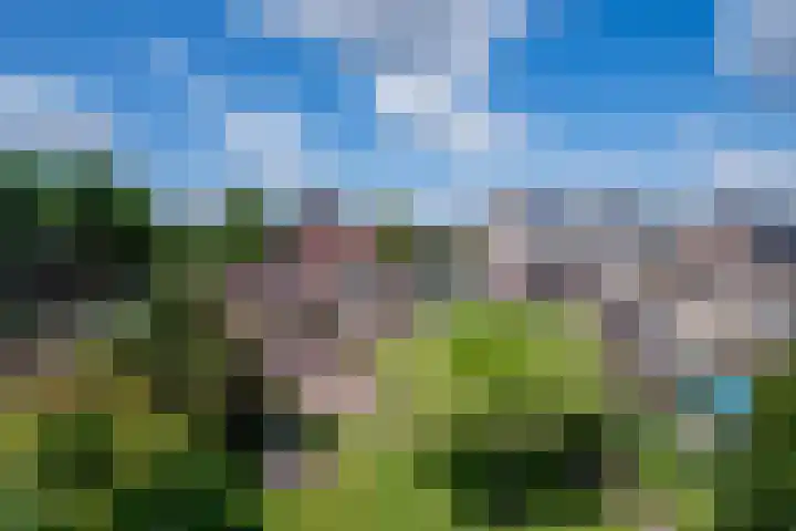 Moutzveld 2 Venlo thumbnail 58