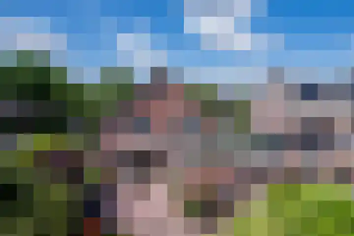 Moutzveld 2 Venlo thumbnail 59