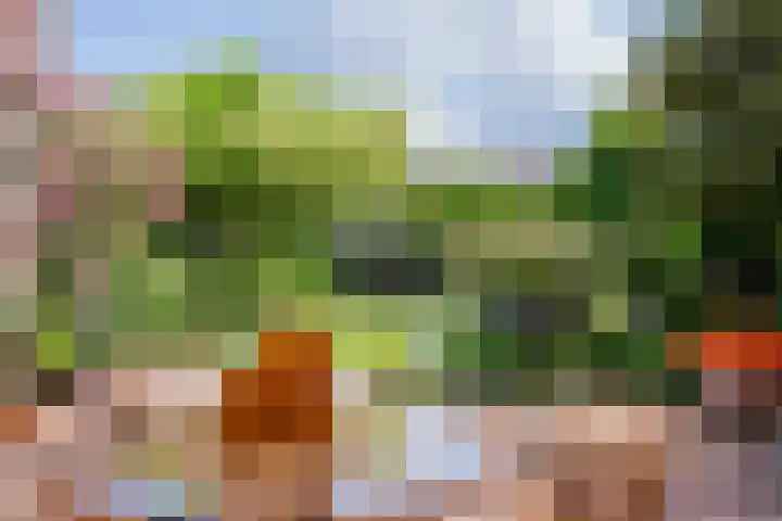 Moutzveld 2 Venlo thumbnail 6