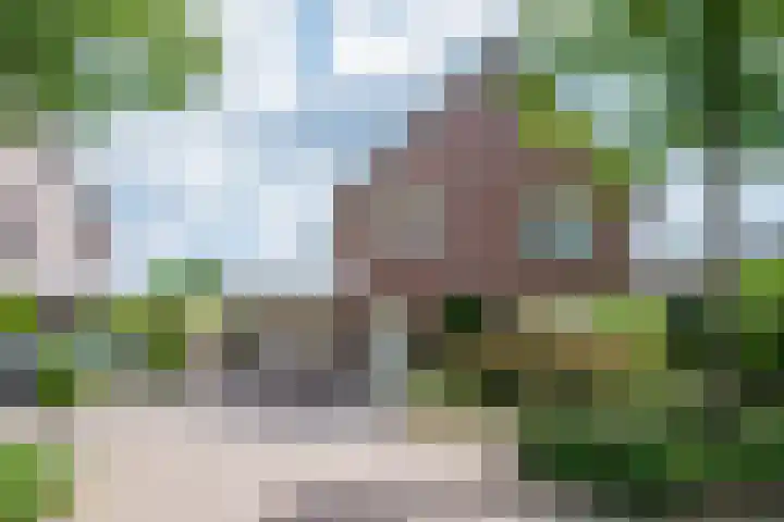 Moutzveld 2 Venlo thumbnail 64