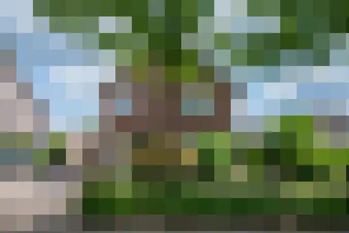 Moutzveld 2 Venlo thumbnail 65