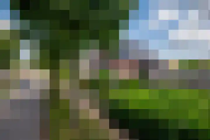 Moutzveld 2 Venlo thumbnail 67