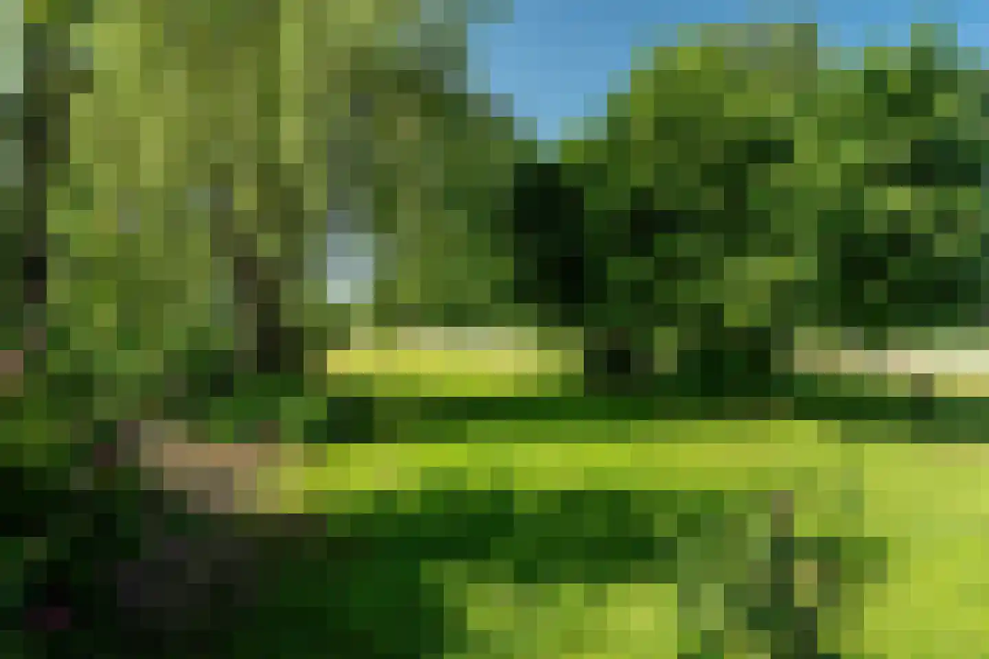 Mouwewei 2 Terwispel thumbnail 12