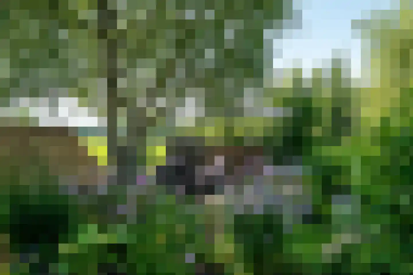 Mouwewei 2 Terwispel thumbnail 13