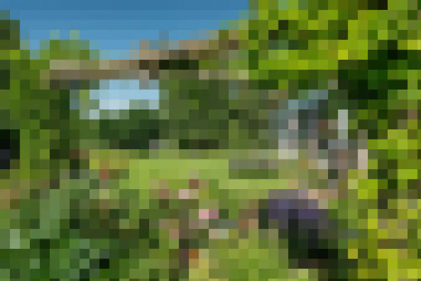 Mouwewei 2 Terwispel thumbnail 14